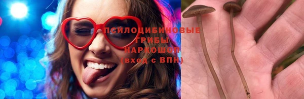 тгк Гусев