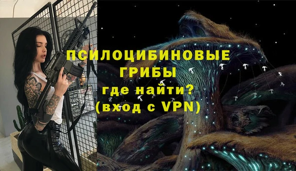 марки nbome Гусь-Хрустальный