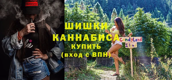 тгк Гусев