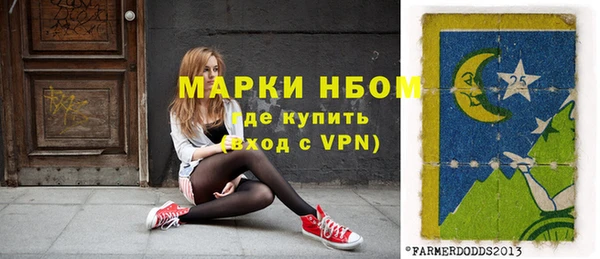 тгк Гусев