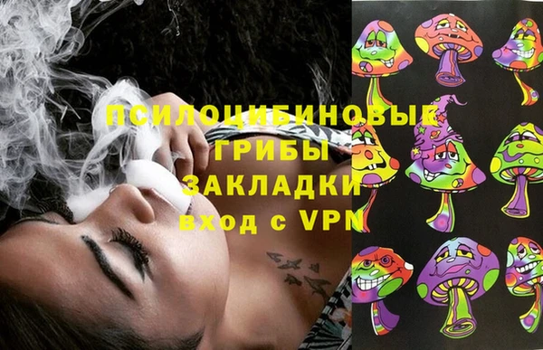 марки nbome Гусь-Хрустальный