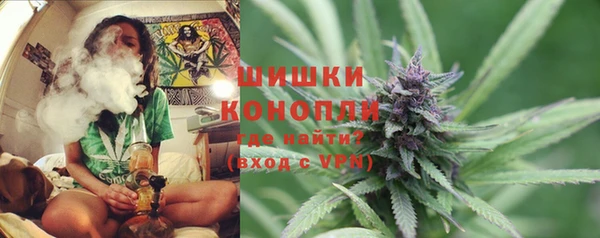 крисы Гусиноозёрск