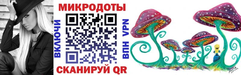 Галлюциногенные грибы Psilocybine cubensis Купить где Камышлов